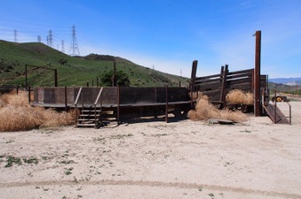 Enlarge photo 578
