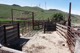 Enlarge photo 579