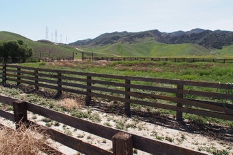 Enlarge photo 581