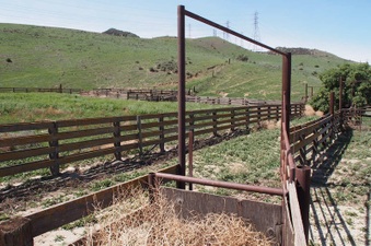 Enlarge photo 584