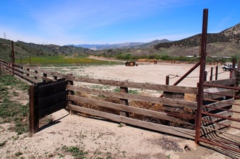 Enlarge photo 587