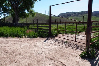 Enlarge photo 591