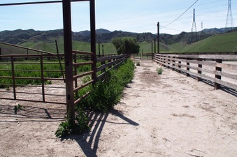 Enlarge photo 592