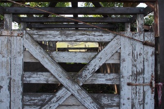 Enlarge photo 593