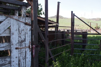 Enlarge photo 594