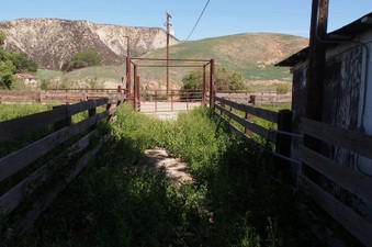 Enlarge photo 596
