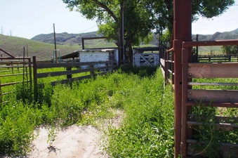 Enlarge photo 597