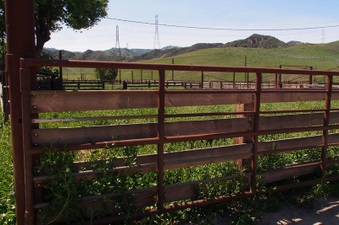 Enlarge photo 598