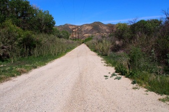 Enlarge photo 618