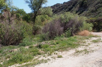 Enlarge photo 621