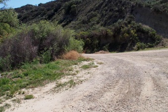 Enlarge photo 622