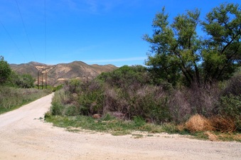 Enlarge photo 623