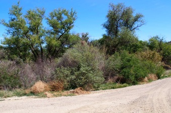 Enlarge photo 624