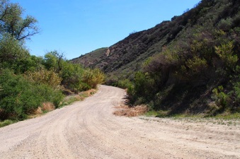 Enlarge photo 625