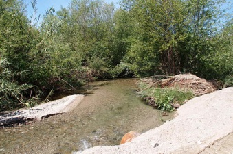 Enlarge photo 630
