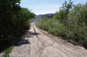 Enlarge photo 631