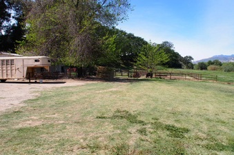 Enlarge photo 636