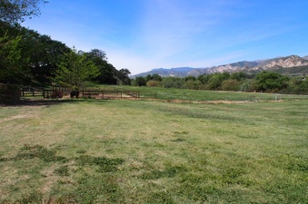 Enlarge photo 637