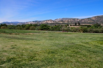 Enlarge photo 638