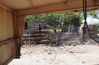 Enlarge photo 639