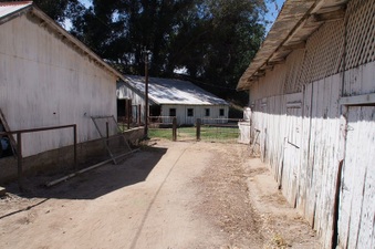 Enlarge photo 642