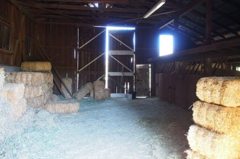 Enlarge photo 651