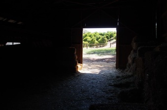 Enlarge photo 652