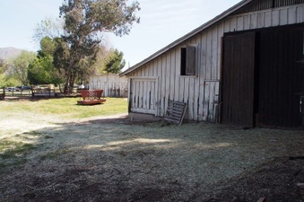 Enlarge photo 656