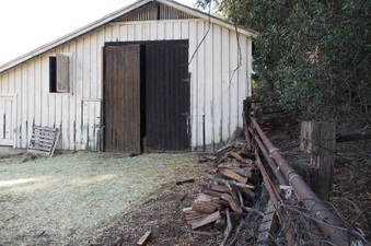 Enlarge photo 657