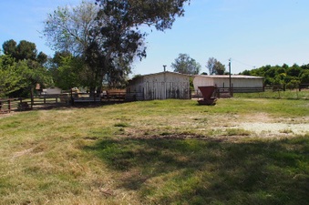 Enlarge photo 658