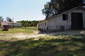 Enlarge photo 659