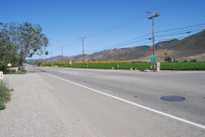 Enlarge photo 11
