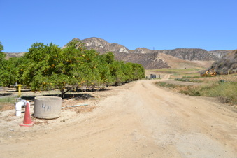 Enlarge photo 52