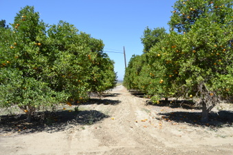 Enlarge photo 53