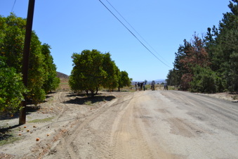 Enlarge photo 54
