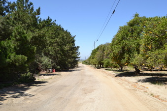 Enlarge photo 55