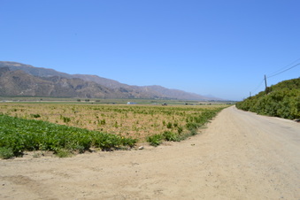 Enlarge photo 56