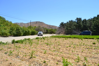 Enlarge photo 57