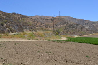 Enlarge photo 62