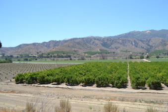 Enlarge photo 67