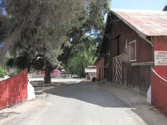 Enlarge photo 13