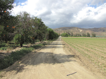 Enlarge photo 26