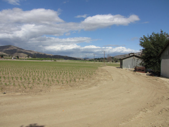 Enlarge photo 29