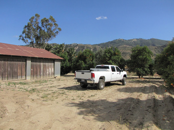 Enlarge photo 31