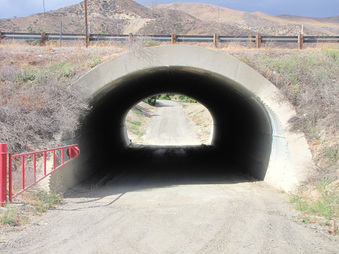 Enlarge photo 33