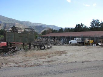 Enlarge photo 37