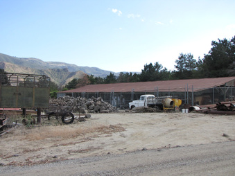 Enlarge photo 42