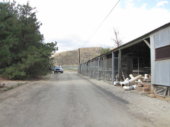 Enlarge photo 43