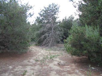 Enlarge photo 45