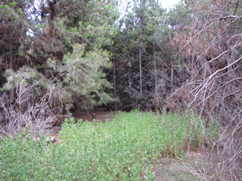 Enlarge photo 46